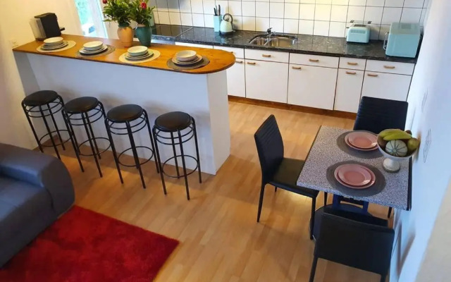 Swiss Mountains Apartments