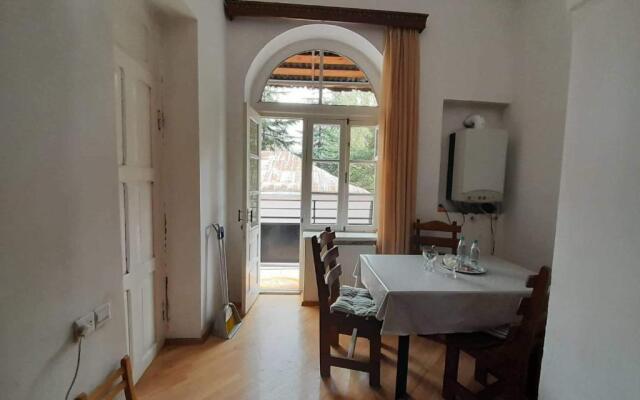 Apartament in the center of Borjomi