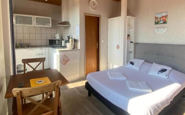 PINOT GRIS - Charmant studio