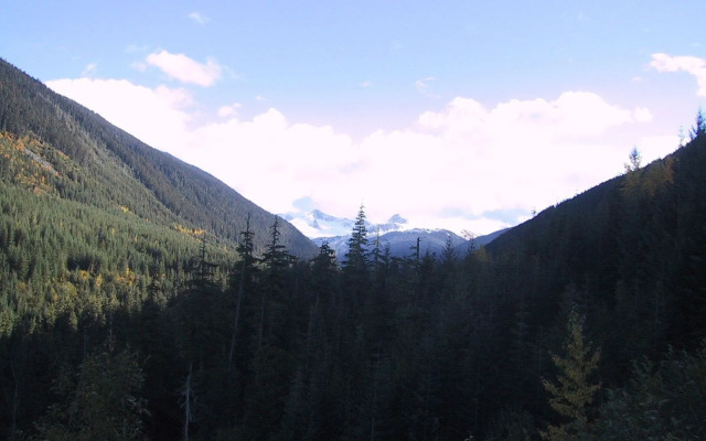 Whistler Alpine Chalet Retreat & Wellness