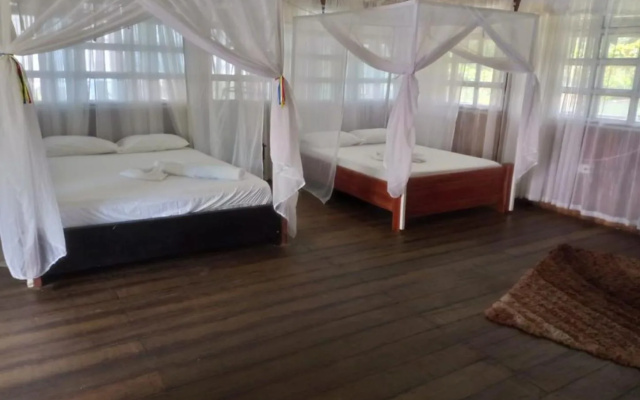 Punta Roca Ecohotel