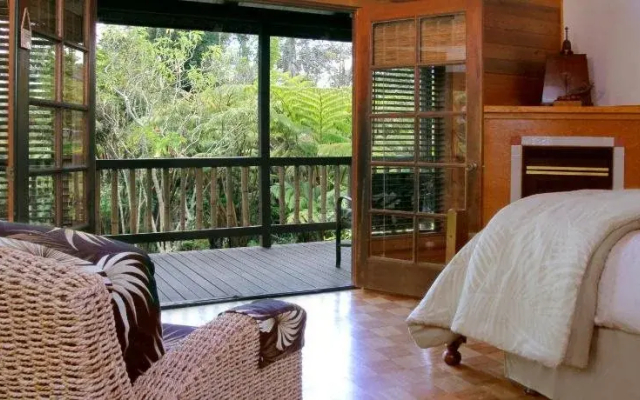 Lotus Garden Cottages - Hotel in 沃尔卡诺 - Photo 5