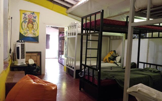 The Lazy Llama Hostel