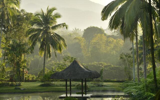 The Farm at San Benito