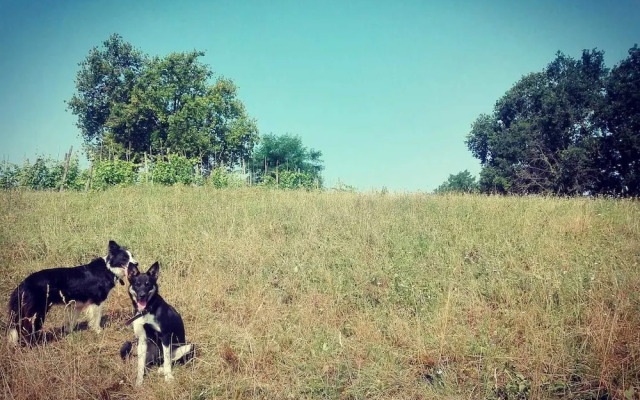 Agriturismo Bricco Gallo