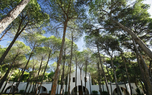 Hotel Mare Pineta