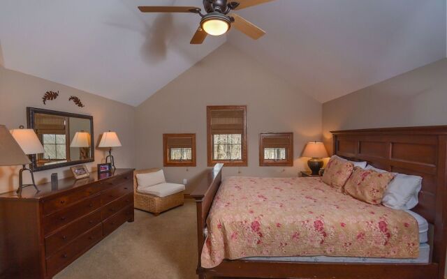 Stone Mountain Vista