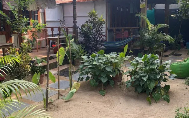 Tropical Bay