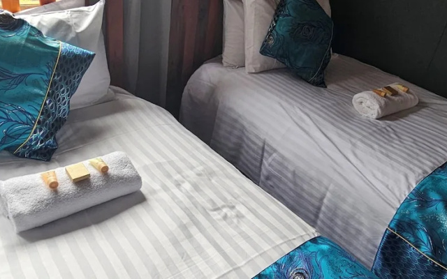 Penguin Retreat – Guest Rooms – Penguin