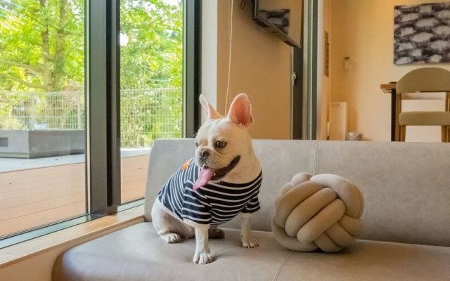 Rakuten STAY VILLA Aso Kurokawa