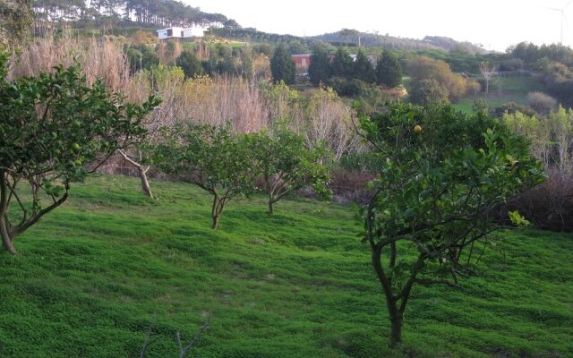 Quinta Raposeiros