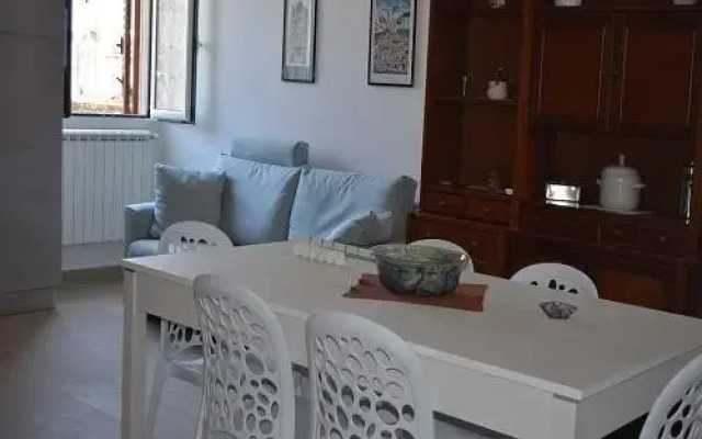 Sasinae-Home Via Gioberti