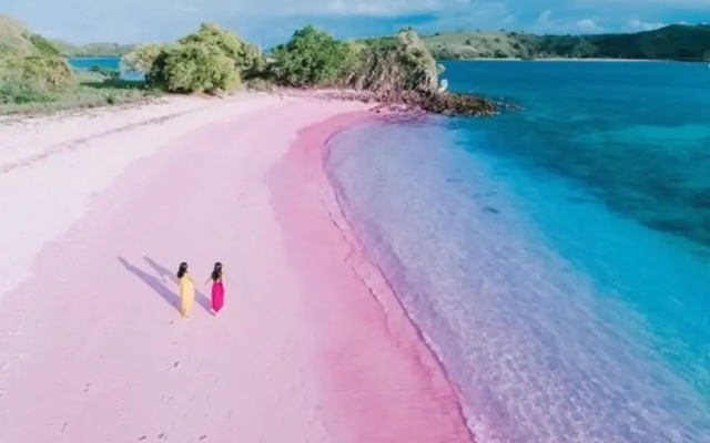 Samara II Liveaboard