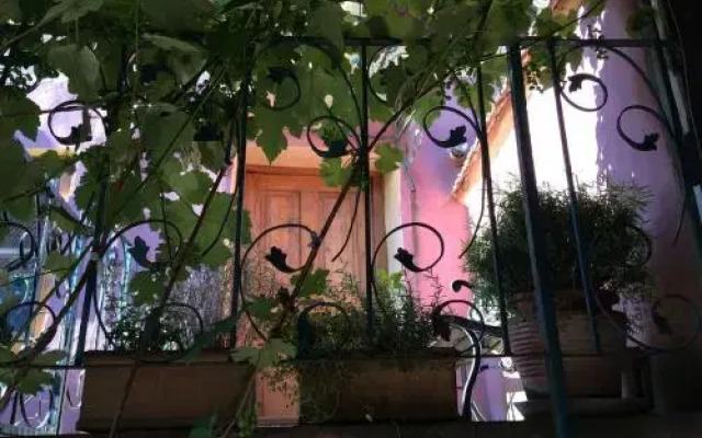 Dominic Boutique Tamplarilor