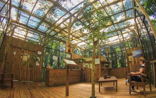 Wagelia Espino Blanco Lodge