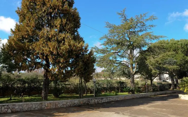 Stella Della Valle DItria