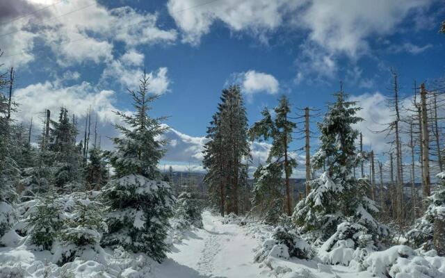 Elfenhauschen Mit 3 Dtv Sternen Ausgezeichnet