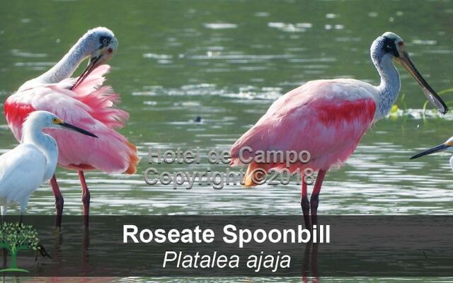 Hotel de Campo Caño Negro