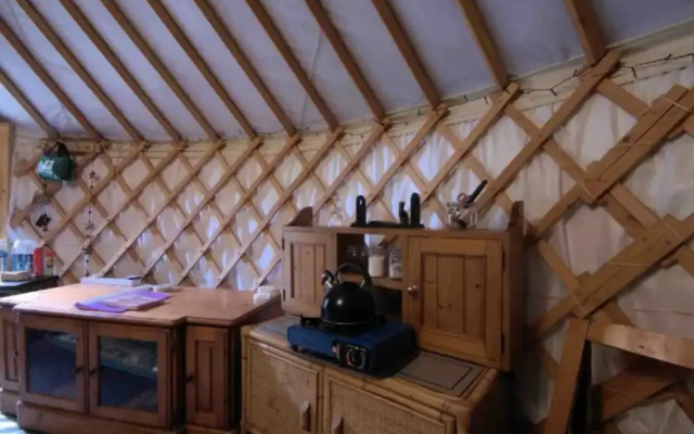Ancient Woodland Retreat