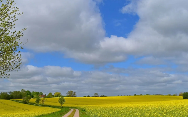 Ferienwohnung im Gutshaus Schulenbrook