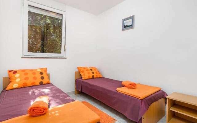 Pretty Apartment in Mandre With Barbecue