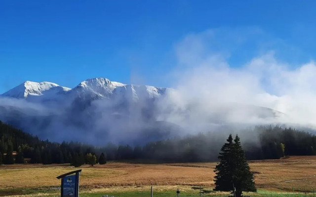 Serene Alpine Stay for 6 Guests