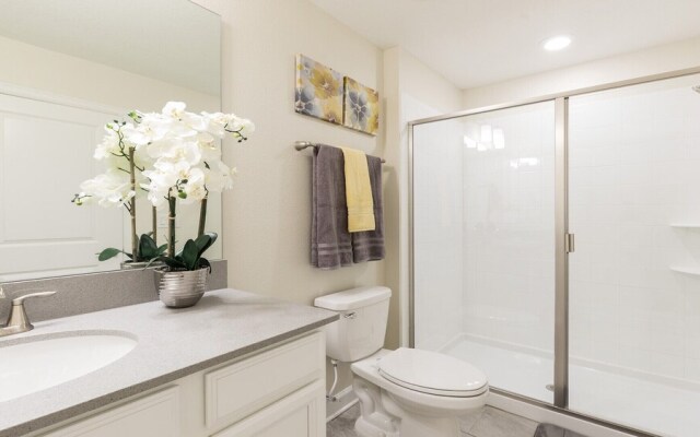 Champions Gate Technicolour Kingdom 1617