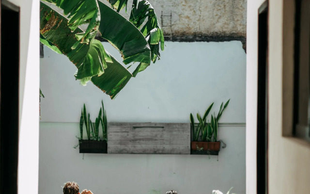 Oryx Valladolid - Hostel