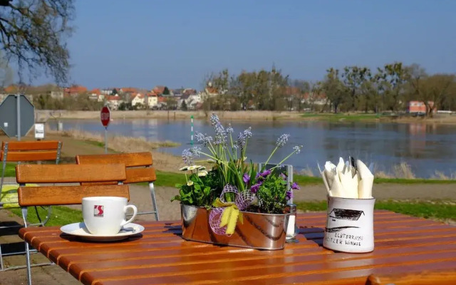 Elbterrassen im Wörlitzer Winkel