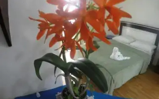 Pousada Velho Continente