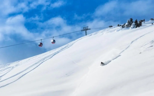 Sonnblick Apartments Hollersbach