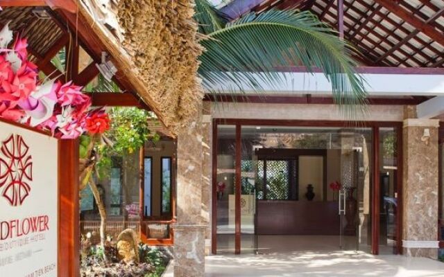 WindFlower Beach Boutique Hotel - Mui Ne