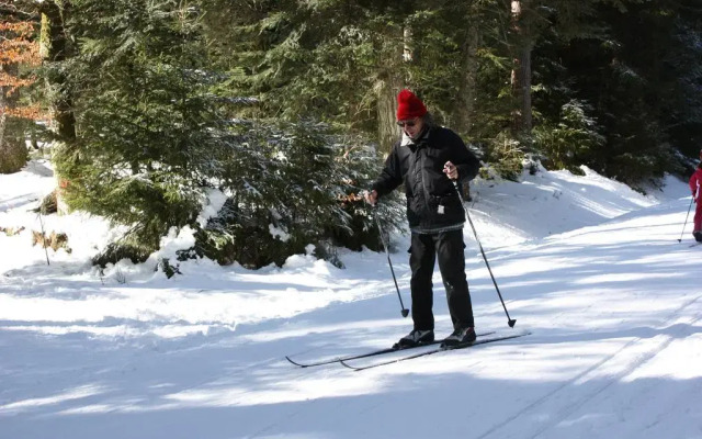 Volcans Vacances Les Chalets Du Lac