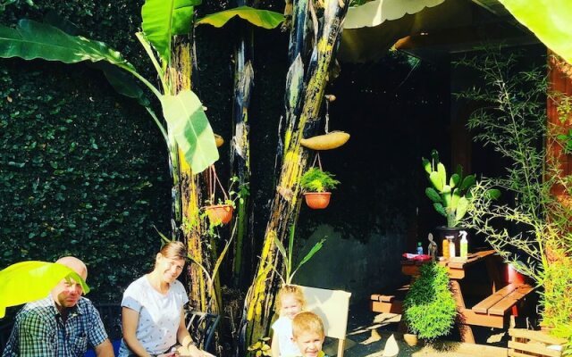 Savannah House - Hostel