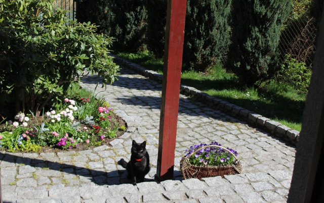 Apartament Kameralny