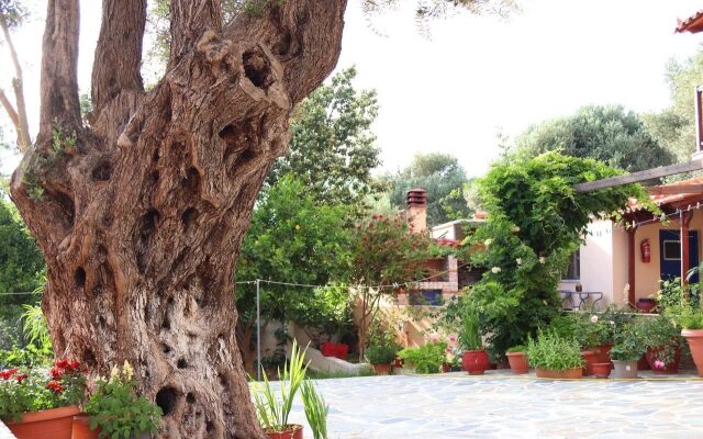 Panorama Villas