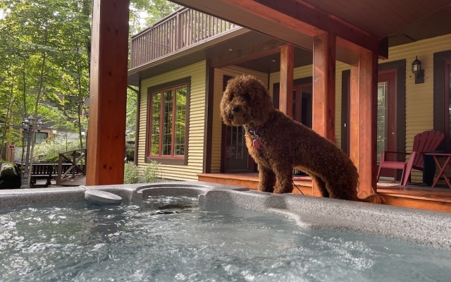 Rare CITQ (240284) 4 Star Mountain Chalet