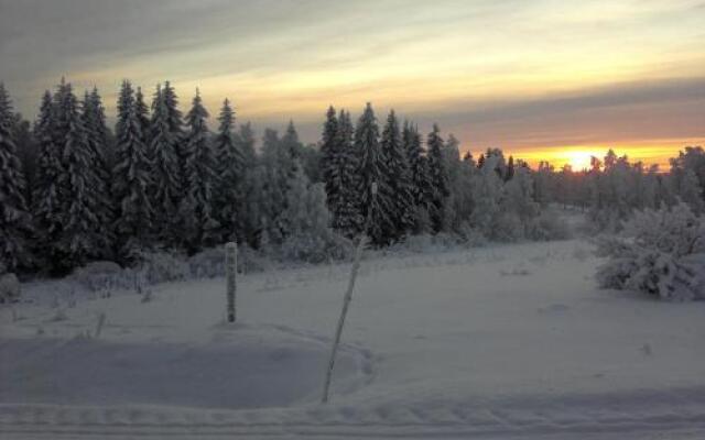 Maukkulan Mustikkamäki