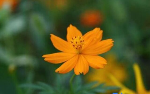 Wugong Mountain Yunlin Pavilion B & B