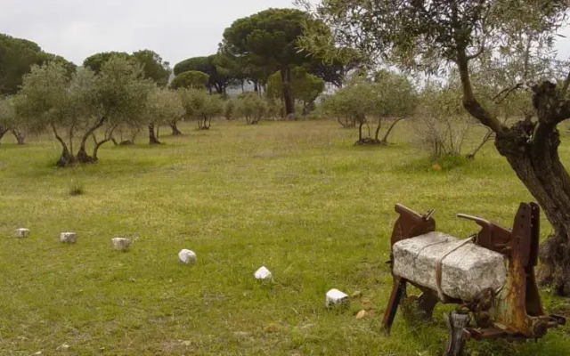 Valle del Roble Encantado