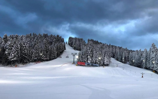 Studio D-55 in Borovets Gardens hotel