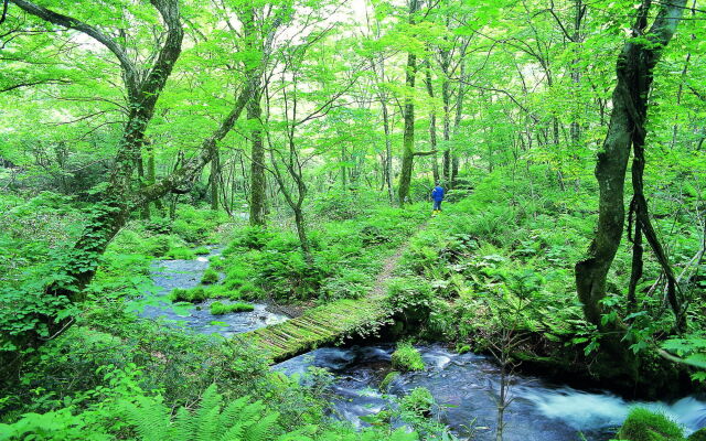 Kyukamura Oku-Daisen