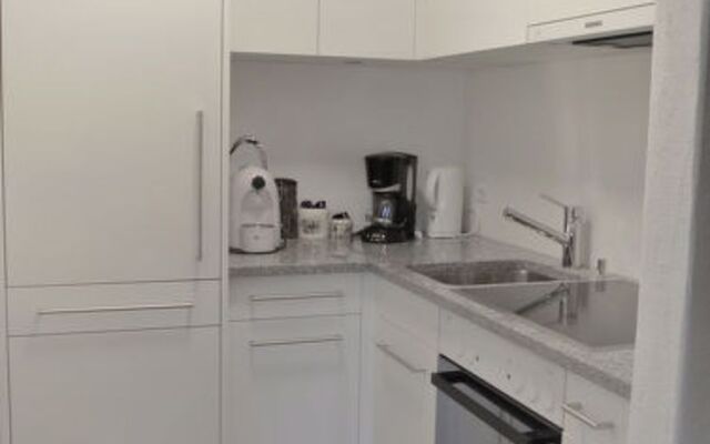 Apartment 155 Silvaplana-Surlej