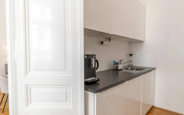 Luxury Apartment next to the City Center