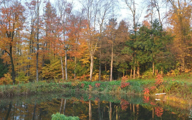 Lodge Solange Bed and Breakfast