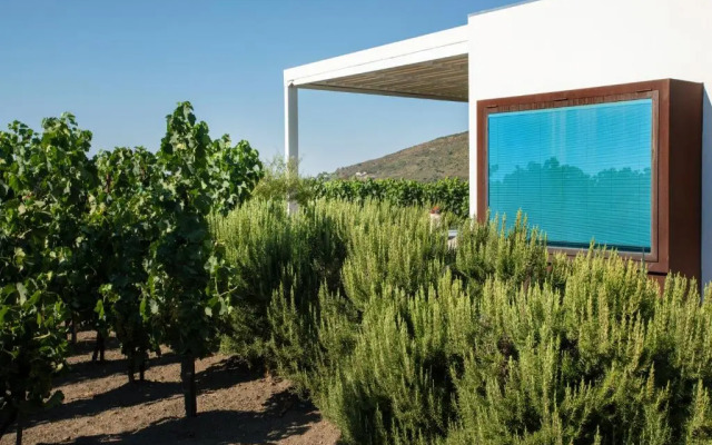 Castellaro Wine Resort