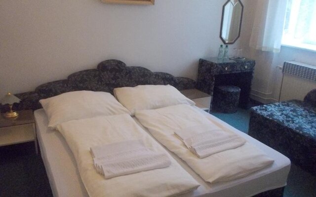 Hotel U Hroznu