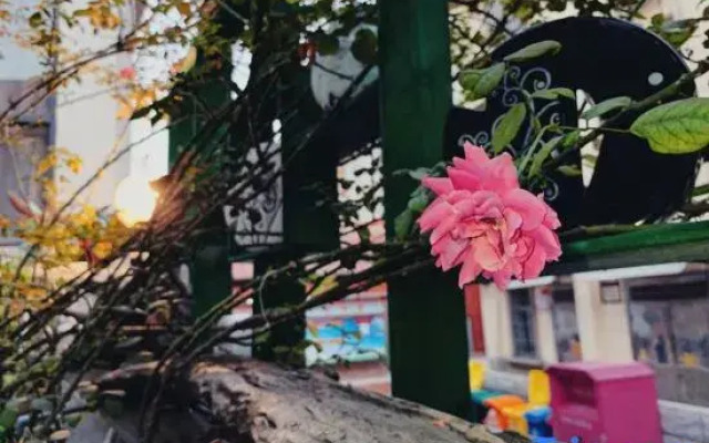 Shui'an Yishujia Old Villa Hostel