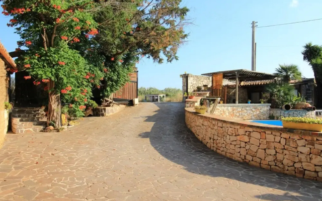 Trilo Noce Shared Pool