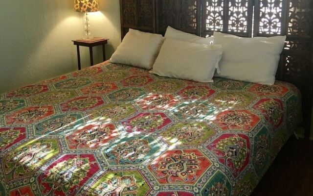 Happy Honu by RedAwning